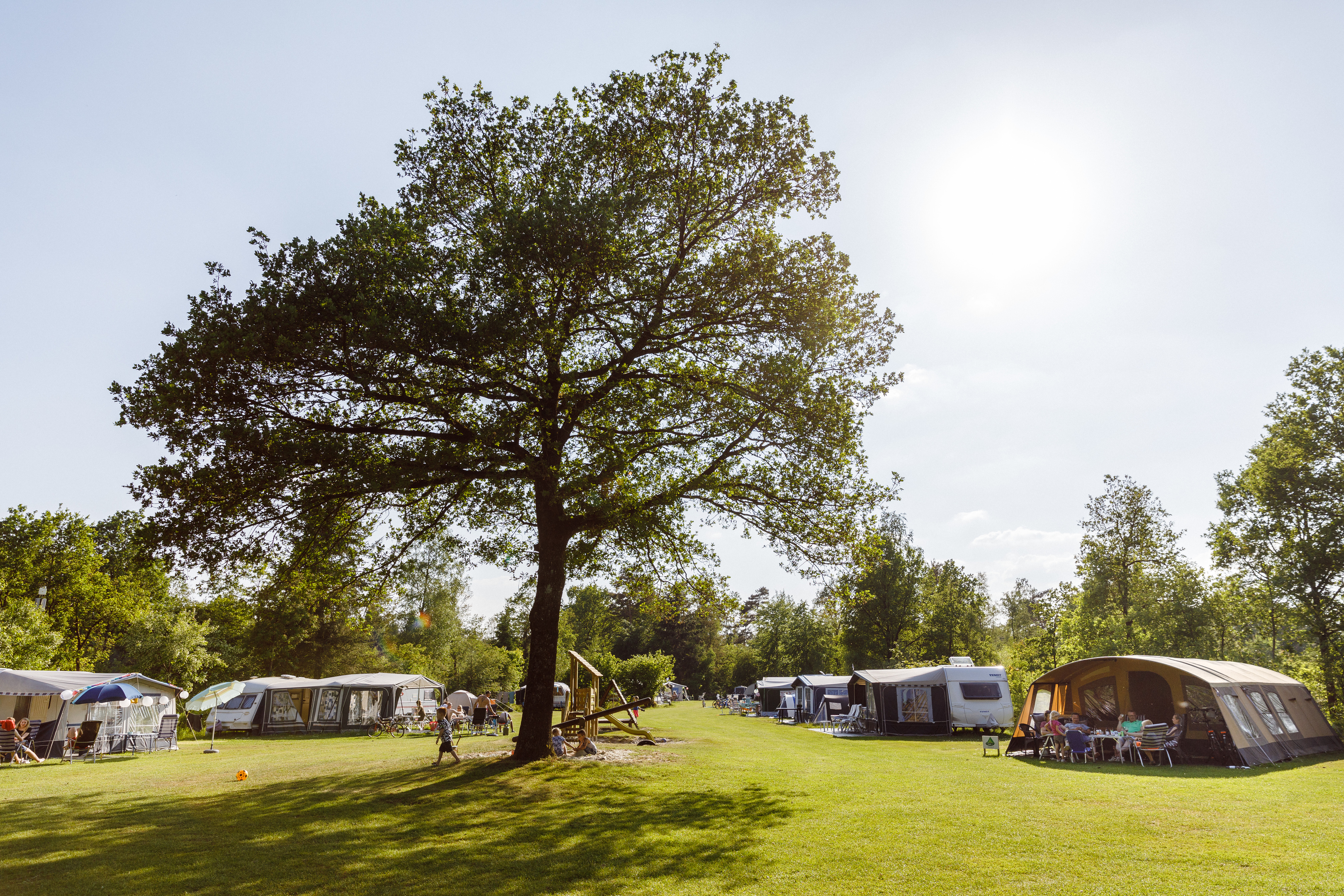RCN-vakantiepark-de-Roggeberg-kampeerveld (1)