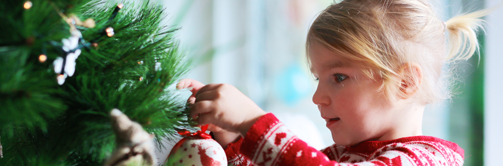 Kerstvakantie 2021 de leukste huisjes huren RCN vakantieparken