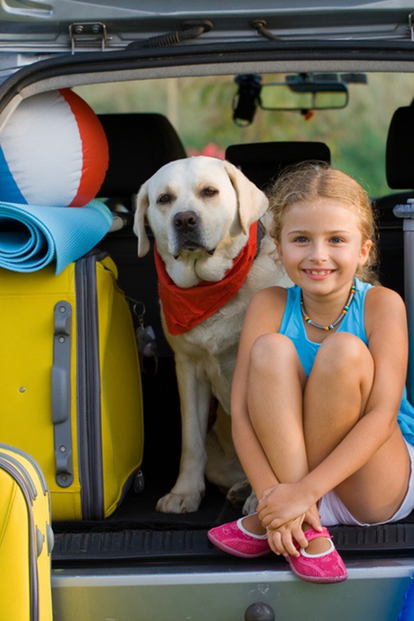 meisje met hond en koffers in achterbak