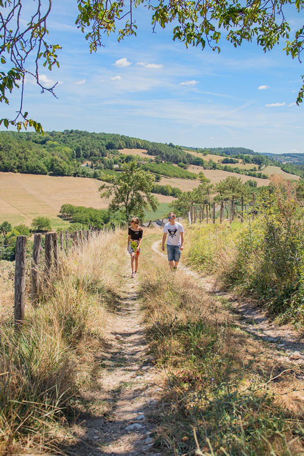 wandelen bos