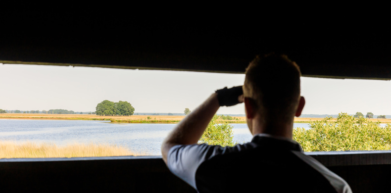 RCN-de-Noordster-vakantiepark-in-Dwingeloo-uitzicht-op-landschap