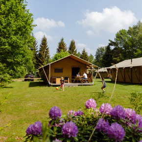 RCN-vakantiepark-de-Roggeberg-Safaritent-de-Wold-Lodge (1)