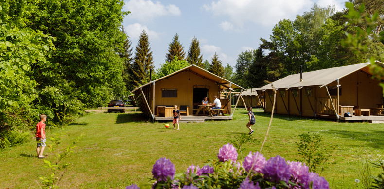 RCN-vakantiepark-de-Roggeberg-Safaritent-de-Wold-Lodge (1)