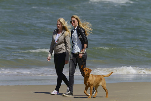 Met de hond aan zee in Zuid Holland