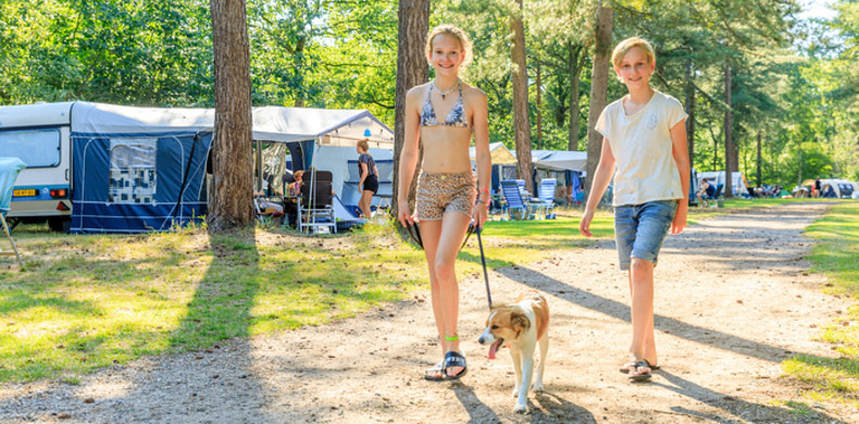 RCN-de-Flaasbloem-Vakantiepark-in-Brabant-Chaam-kampeerveld-kinderen-met-hond (5)