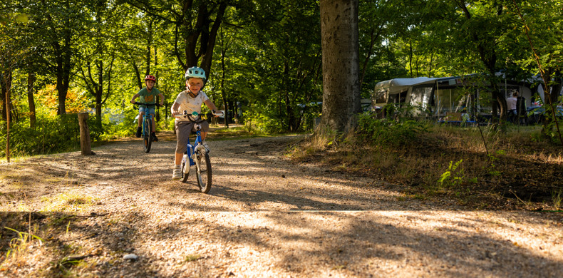 RCN-het-Grote-Bos-Utrechtse-Heuvelrug-fietsen (3)