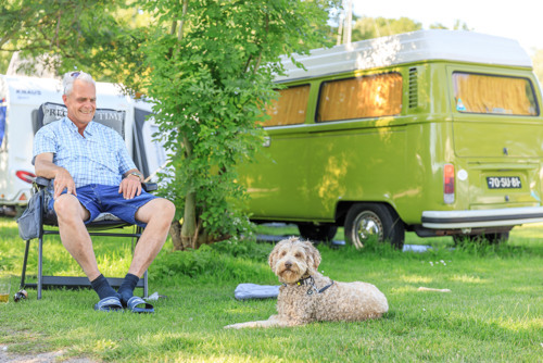 Du camping avec votre chien