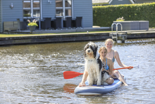 Vakantie met hond in Friesland
