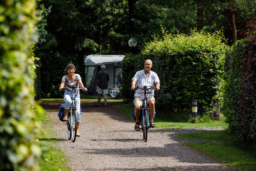 Radfahren in Veluwe