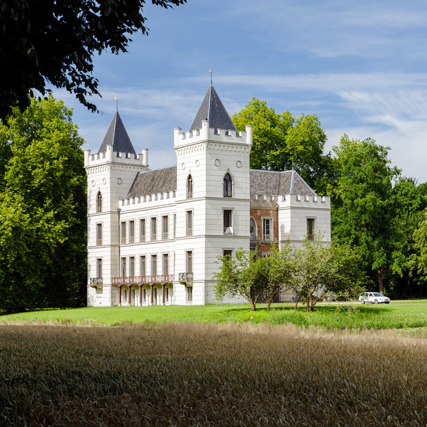 Rcn Het Grote Bos Vakantiepark In Utrecht Doorn