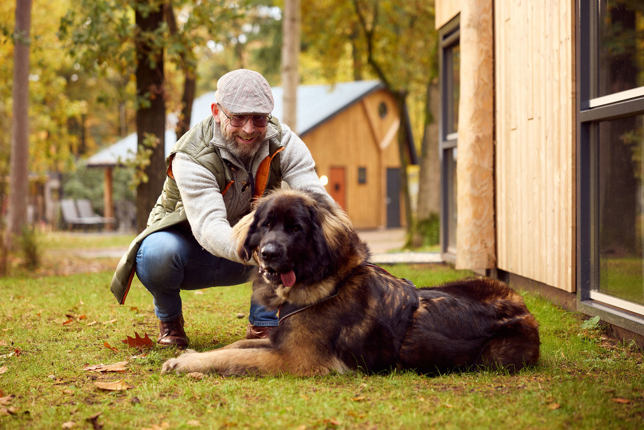 Hondvriendelijke huisjes in de Veluwe