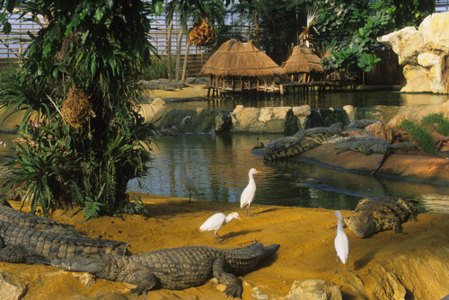 La Fermeaux Crocodiles