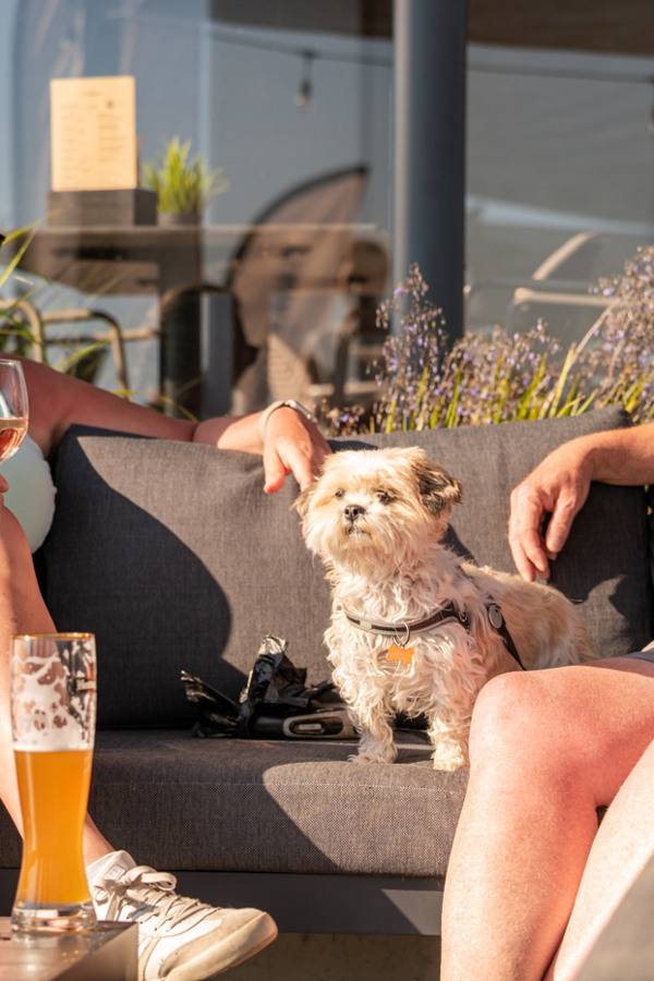 Ferienpark Holland mit Hund
