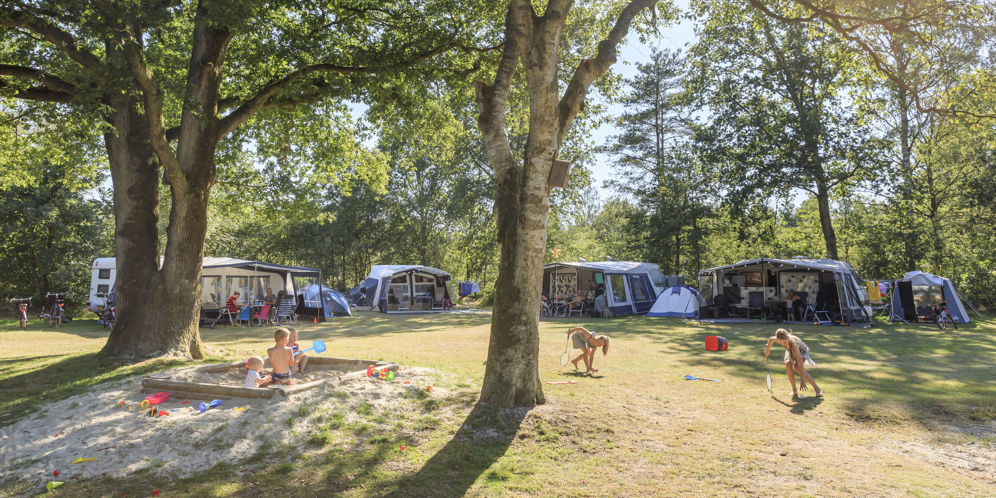 Rcn De Roggeberg Holiday Park In Appelscha Friesland Camping
