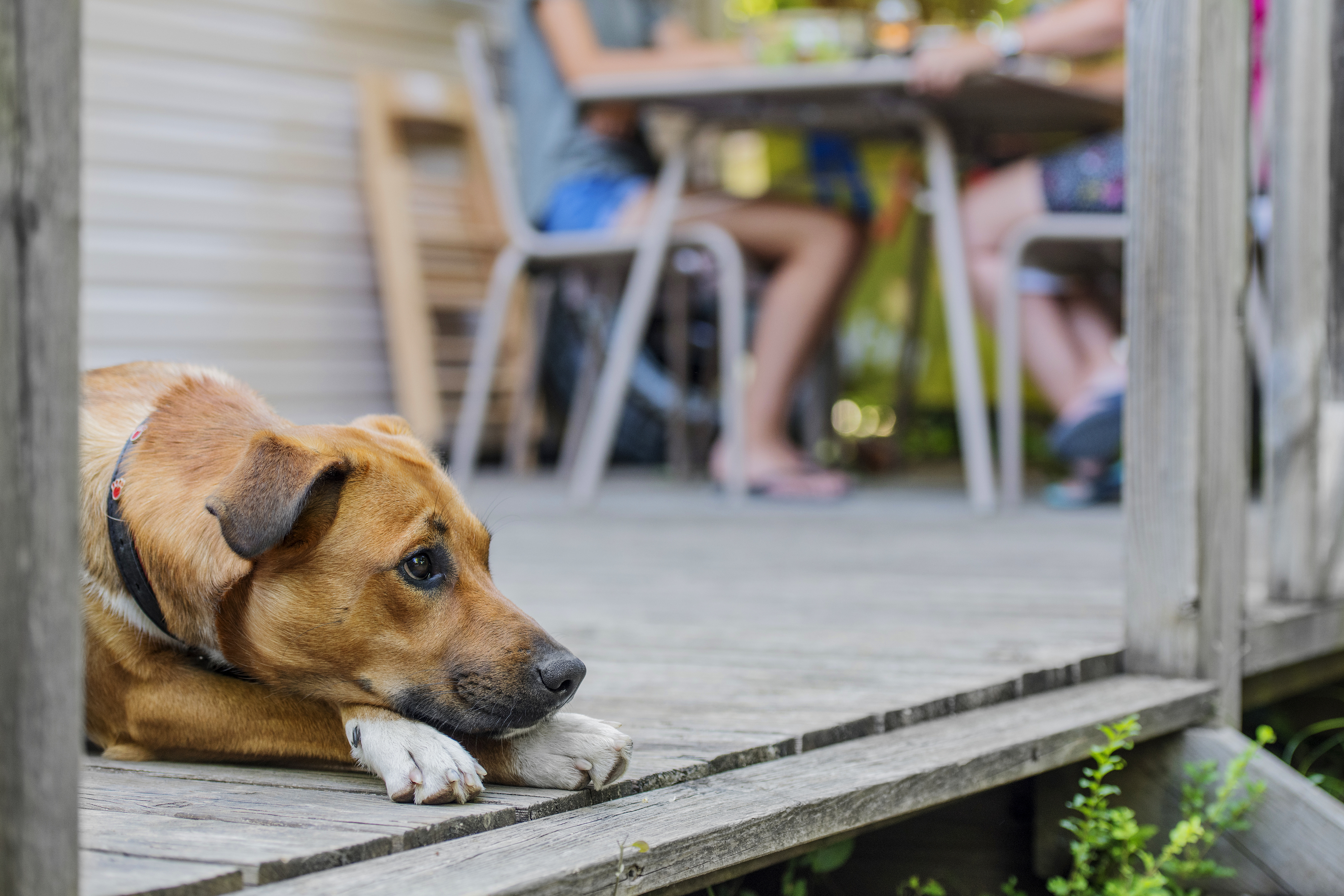 Last Minute Urlaub Jetzt Angobote Sichern Und 25 Sparen