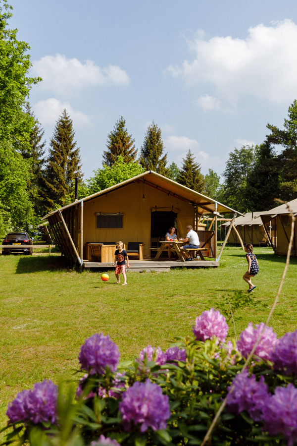 Glamping Friesland safaritent de Wold Lodge